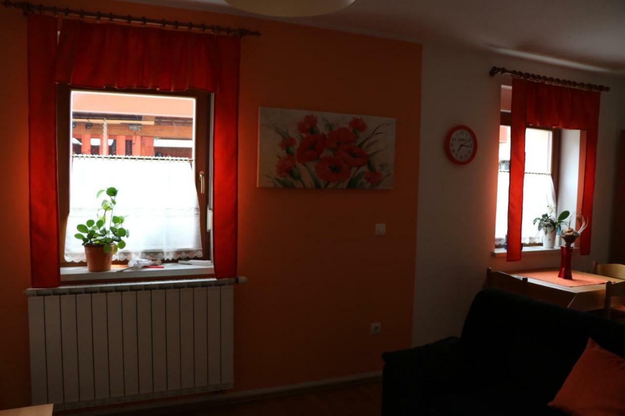 Apartma Na Vasi Διαμέρισμα Zaga Εξωτερικό φωτογραφία